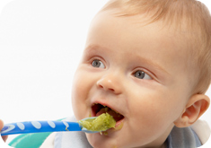bébés dès 8 mois
